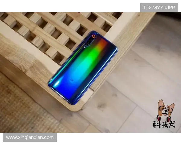 问鼎国际app官方下载最新版本更新内容全面解析，带你了解新功能与优化细节